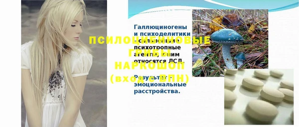 стафф Нефтегорск