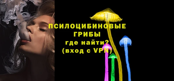 дурь Наволоки