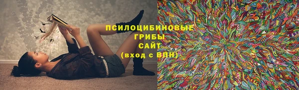 дурь Наволоки