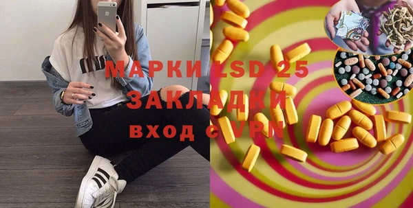 ПСИЛОЦИБИНОВЫЕ ГРИБЫ Нея