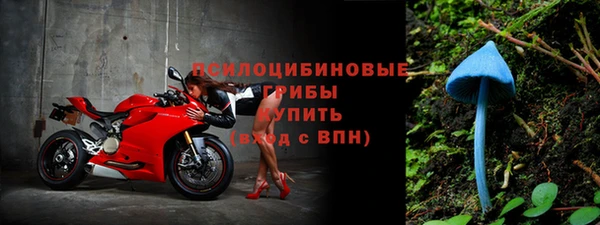 дурь Наволоки