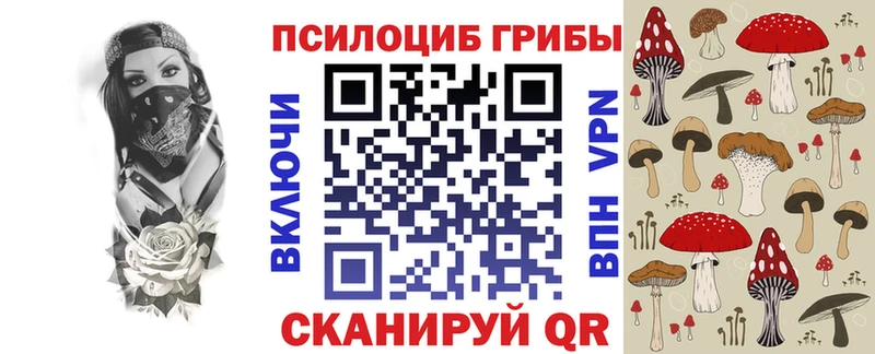 где купить наркотик  Задонск  Псилоцибиновые грибы мицелий 